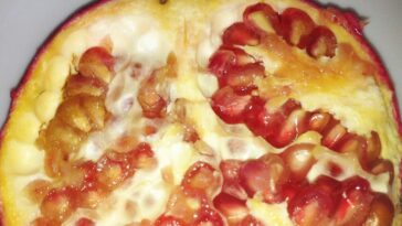 How do you pick a good Champagne?