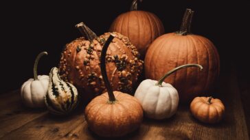 How do you pick the best pumpkin for cooking?