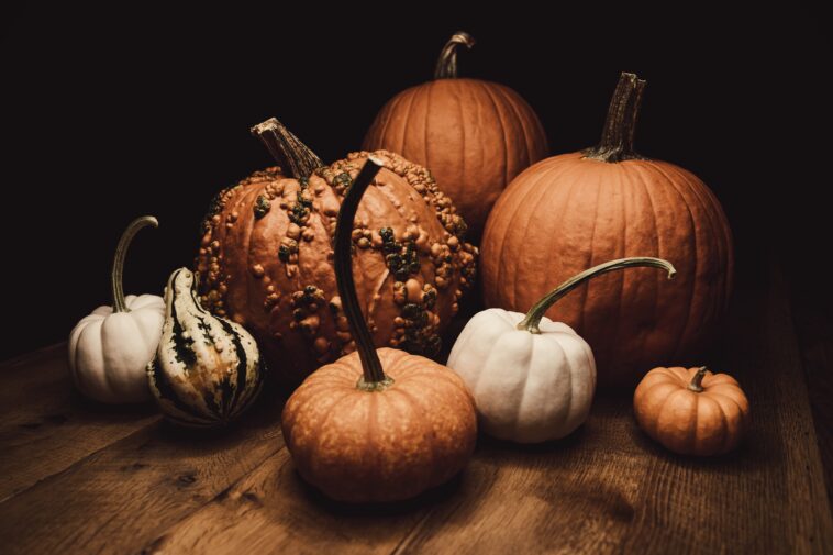 How do you pick the best pumpkin for cooking?
