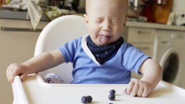 How do you refresh your taste buds?