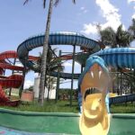 How do you sneak food into an amusement park?