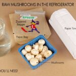 How do you store mushrooms in the refrigerator?