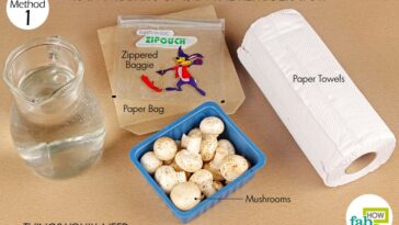 How do you store mushrooms in the refrigerator?