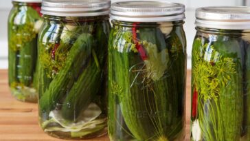 How do you tell if a pickle is fermented?