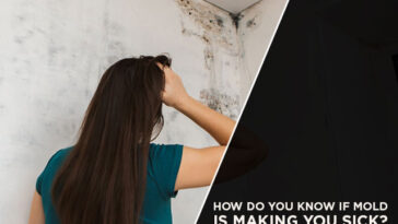 How do you tell if mold is making you sick?