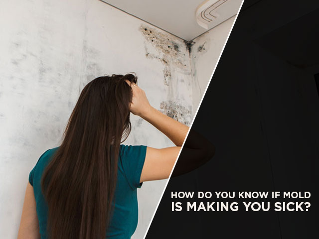 How do you tell if mold is making you sick?