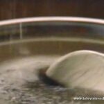 How do you use Heinz gravy?