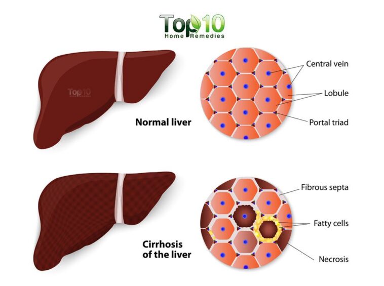 How does coffee affect the liver?