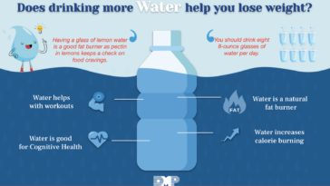 How does drinking water before meals help a person lose weight?
