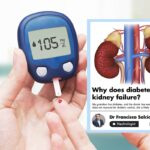 How does fasting affect kidneys?