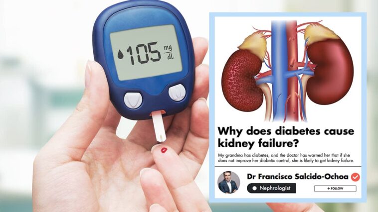 How does fasting affect kidneys?