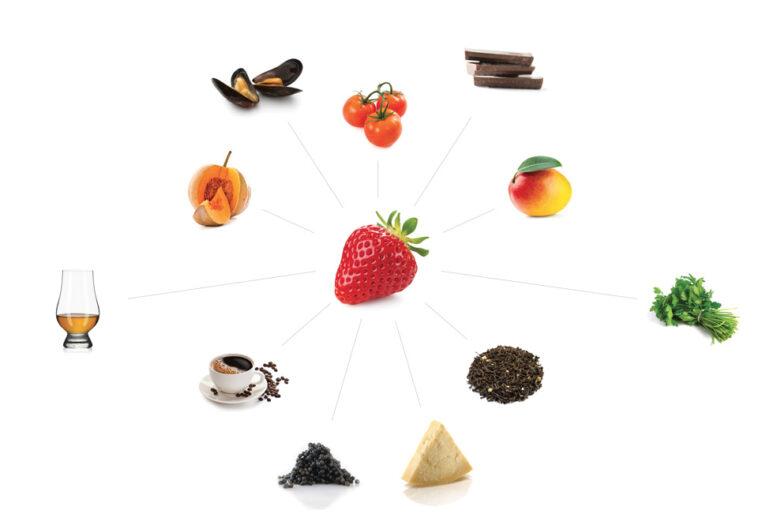 How does flavor pairing work?