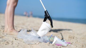 How does tilapia affect the environment?