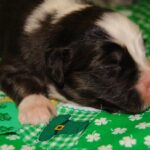 How early do you have to call in sick at Walmart?