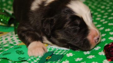 How early do you have to call in sick at Walmart?