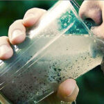 How long after drinking contaminated water do you get sick?
