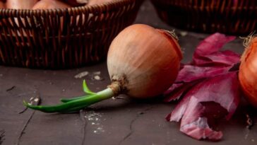How long do cut onions last at room temperature?