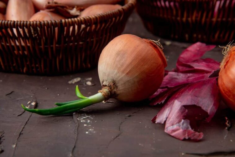How long do cut onions last at room temperature?
