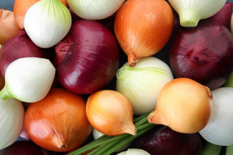 How long does an uncut onion last in the fridge?