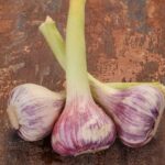 How long does it take for garlic breath to go away?