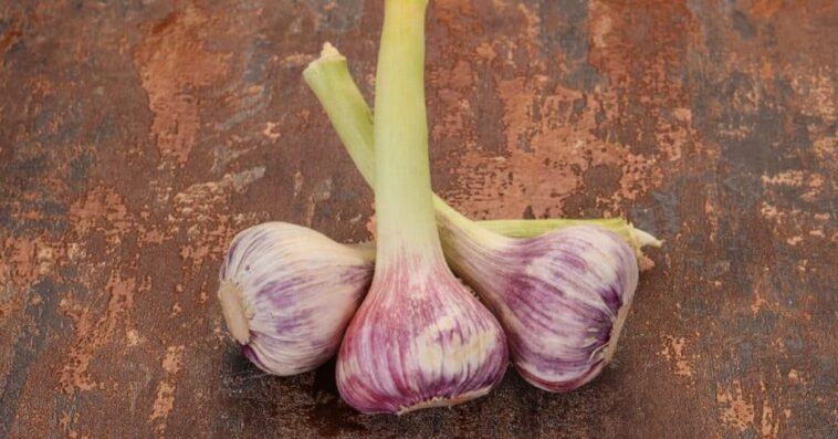 How long does it take for garlic breath to go away?