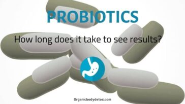 How long does it take for probiotics to work for weight loss?