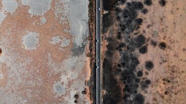 How long does it take mold to make you sick?