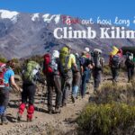 How long does it take to starve Candida?