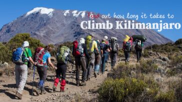 How long does it take to starve Candida?