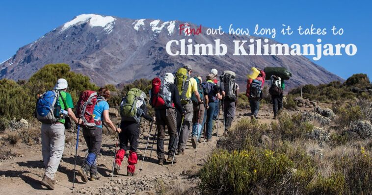 How long does it take to starve Candida?