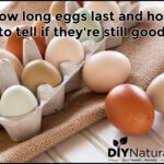 How long is a fresh turkey good for after the sell by date?