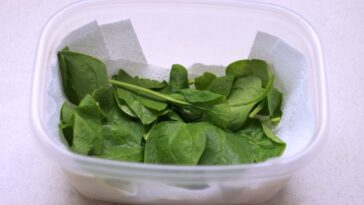 How long is bagged salad good for once opened?