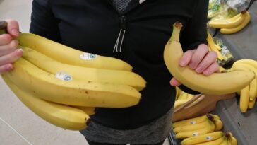 How long is banana water good for?