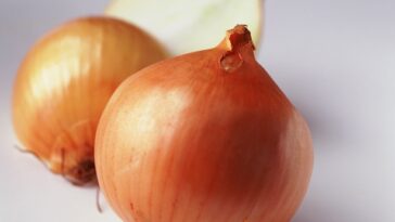 How long will chopped onions last in the fridge?