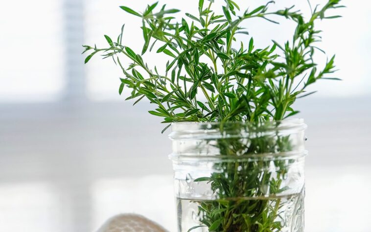 How long will fresh herbs last in the fridge?