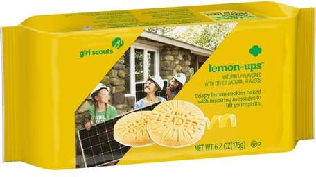 How many Lemon-Ups come in a case?