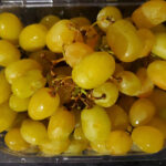 How many calories are in 100g of cotton candy grapes?