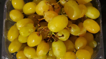 How many calories are in 100g of cotton candy grapes?