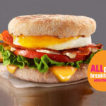 How many calories are in a Egg Mcmuffin from Tim Hortons?