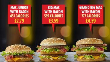 How many calories are in a medium Big Mac meal?