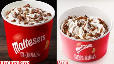 How many calories are in a plain mini McFlurry?