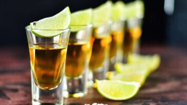 How many calories are in a shot of Campari?