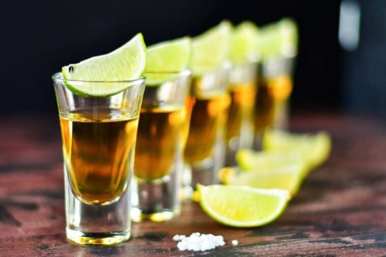 How many calories are in a shot of Campari?