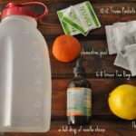 How many calories in Panera passion papaya green tea?