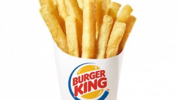 How many calories in a small fry from Steak and Shake?
