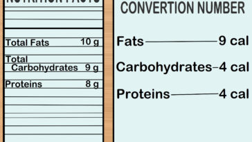 How many calories is equal to 1 gram?