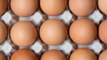 How many eggs does The Rock eat?