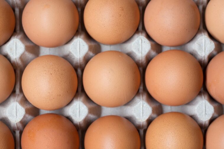 How many eggs does The Rock eat?