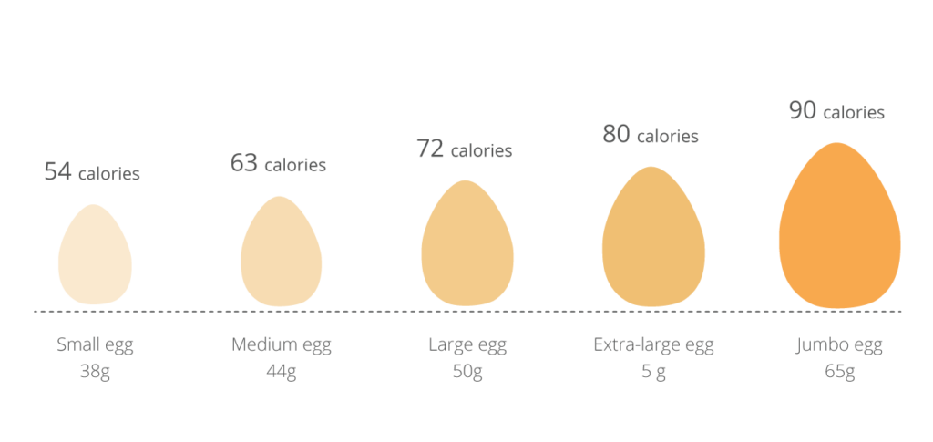 hoeveel-gram-zit-er-in-een-ei