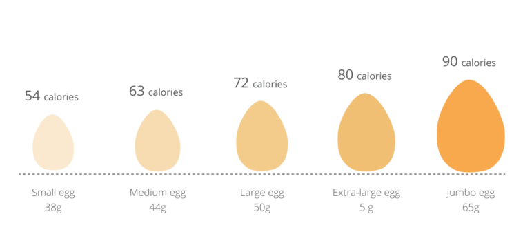 How many grams is a medium egg?